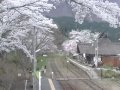 福島 下郷町ライブカメラ  桜 サムネイル