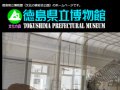 徳島県立博物館 昭和の日イベント無料