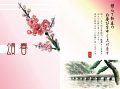 ���ù�� ǯ����Ǻ�2017 ǯ���̵���Ǻห�ܥ���ͥ���