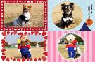 ���äݥե����� �����ץ컣�Ʋ� ǯ���̵���Ǻห�ܥ���ͥ���