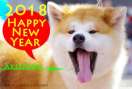��������������ǯ ���ĸ���ǯ����Ѳ��� ǯ���̵���Ǻห�ܥ���ͥ���
