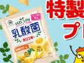 䥹ʥåͤ碌 ̵ץ ͥ