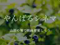  Ф륷ͥ ̵ǲ