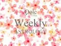 Qole �����Τ��ʤ��α��� �����α���