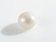 ���ȡ����ꤤ �����α���