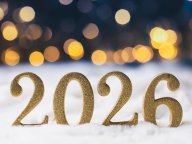 ����Ʋ 2026ǯ��Ⱦ���α��� �롼���������꡼�� 2026ǯ�α���