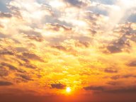 ELLE �ΤäƤ����٤�������ؤˤ�볫���Υ��� 2026ǯ�α���