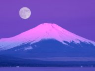 ELLE �������Ƴ����2026ǯ1��α����������� ����α���