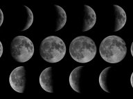 BAZAAR Keiko�ο��������ꤤ ����α���