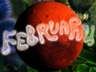 Ellegirl ��ʬ�γ̤�ȴ���Ф���������� ����α������ꤤ