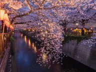 Tokyo Weekender  2026ǯ3��α��� ����α���