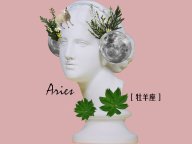 ELLE���� 12�����ꤤ(����) �����α���